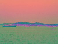 IMGP2786 edited (Medium)